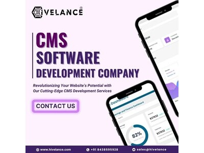 CMS Software: Smart CMS Development  