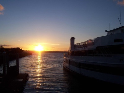 This picture I took in my neighborhood