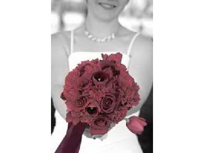 Crystal Wedel Photography