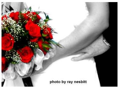 Wedding, Studio & Outdoor Photography 