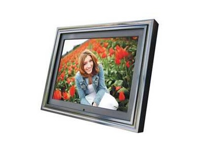 Electronic Picture Frame Domain Name