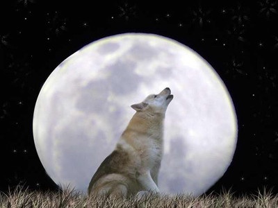 Create Fine Art out of your Photography