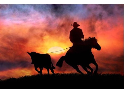 Transform your Photography